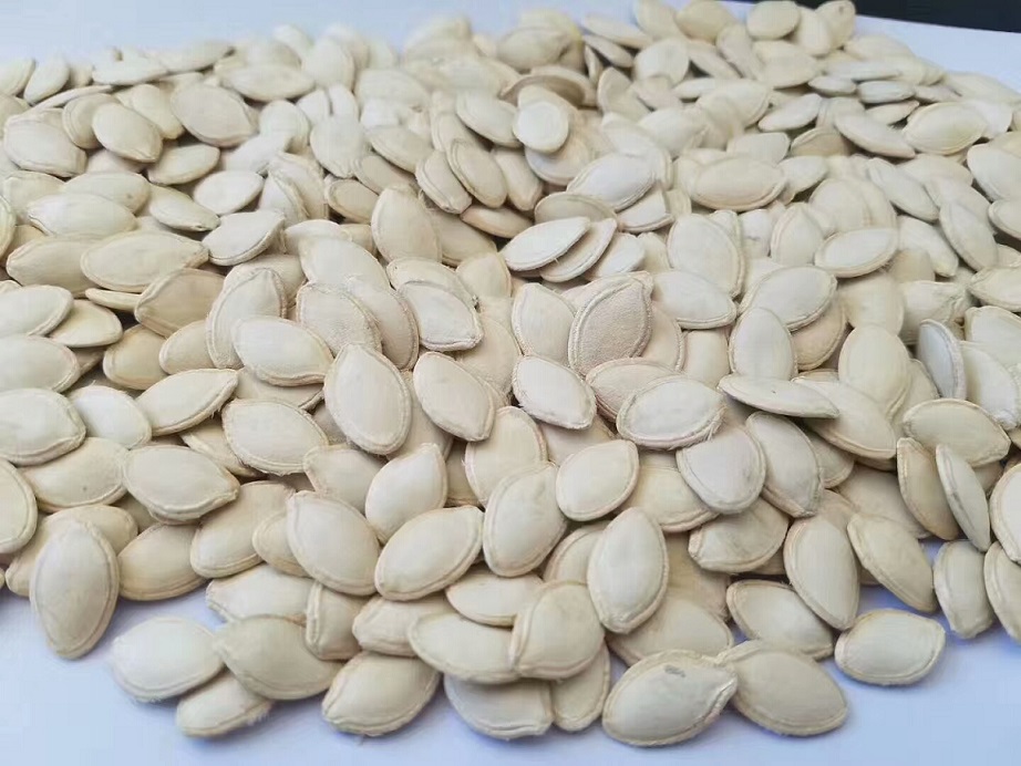 The specification of pumpkin seeds shine skin China peanuts pumpkin